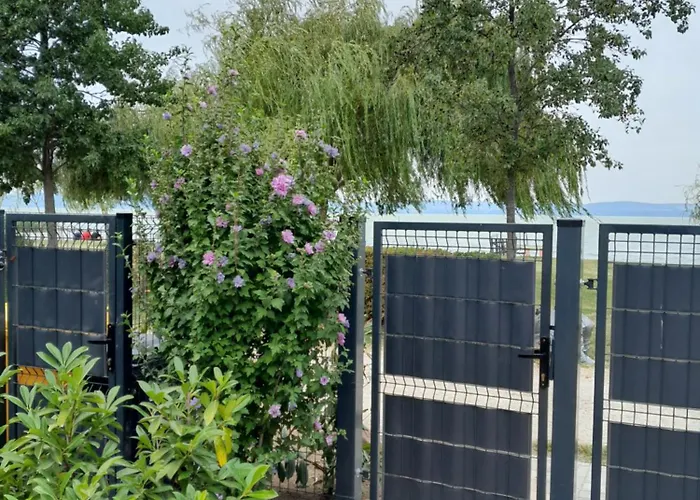 Traumlage Direkt Am Balatonszárszó